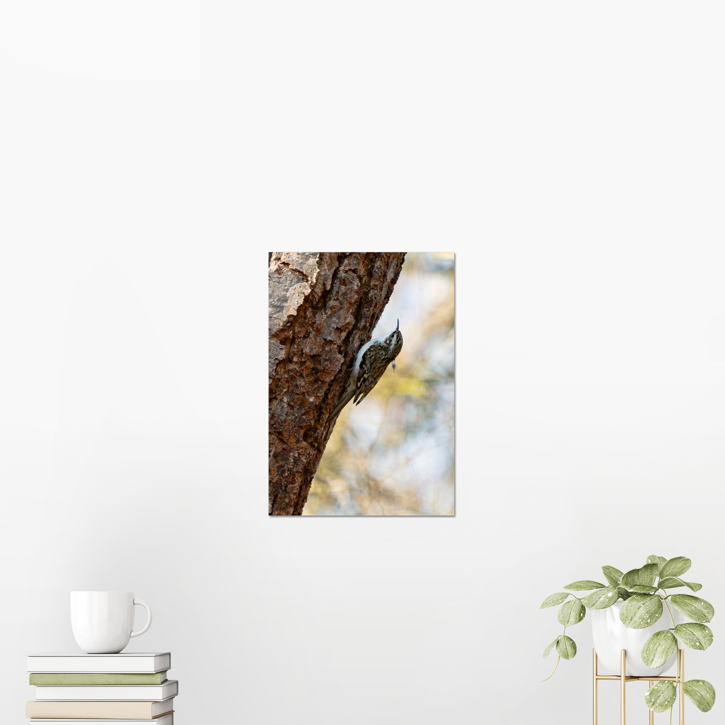 Custom Photo Print
